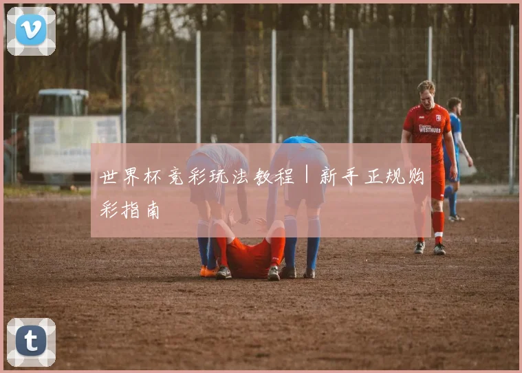 世界杯竞彩玩法教程｜新手正规购彩指南